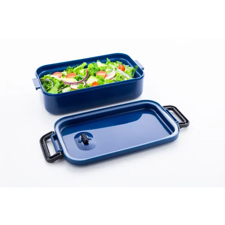 lunch box - AP800595 (ANDA#06A)